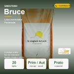 Ginestrino Bruce Confettato 50% – 25 kg – Non trattati – Per Prato e Pascolo