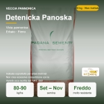 Veccia Pannonica Detenicka Panoska – 25 kg – Non trattati – Per Erbaio